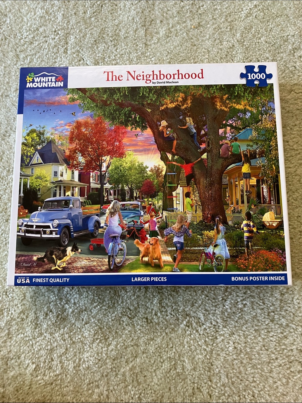 White Mountain 'The Neighborhood' 1000-Piece Jigsaw Puzzle